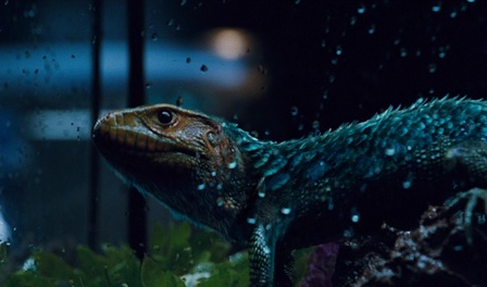 feathered lizard